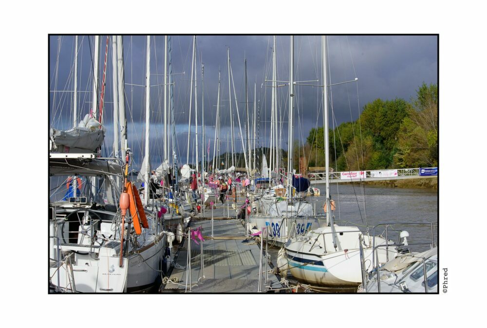 Trophée Estuaire Rose 2023 : Une 5ème Édition Couronnée de Suc